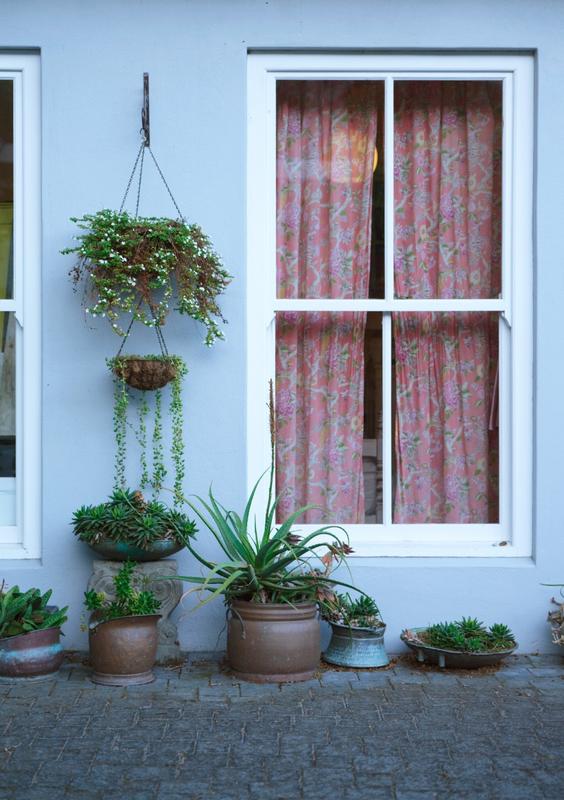 To Let 5 Bedroom Property for Rent in Tokai Western Cape